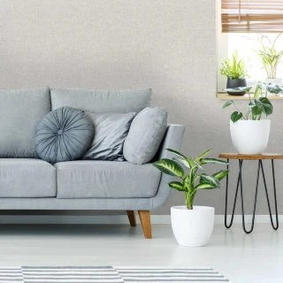 Cine Wallpaper - Neutral 3 Cine Wallpaper - Neutral